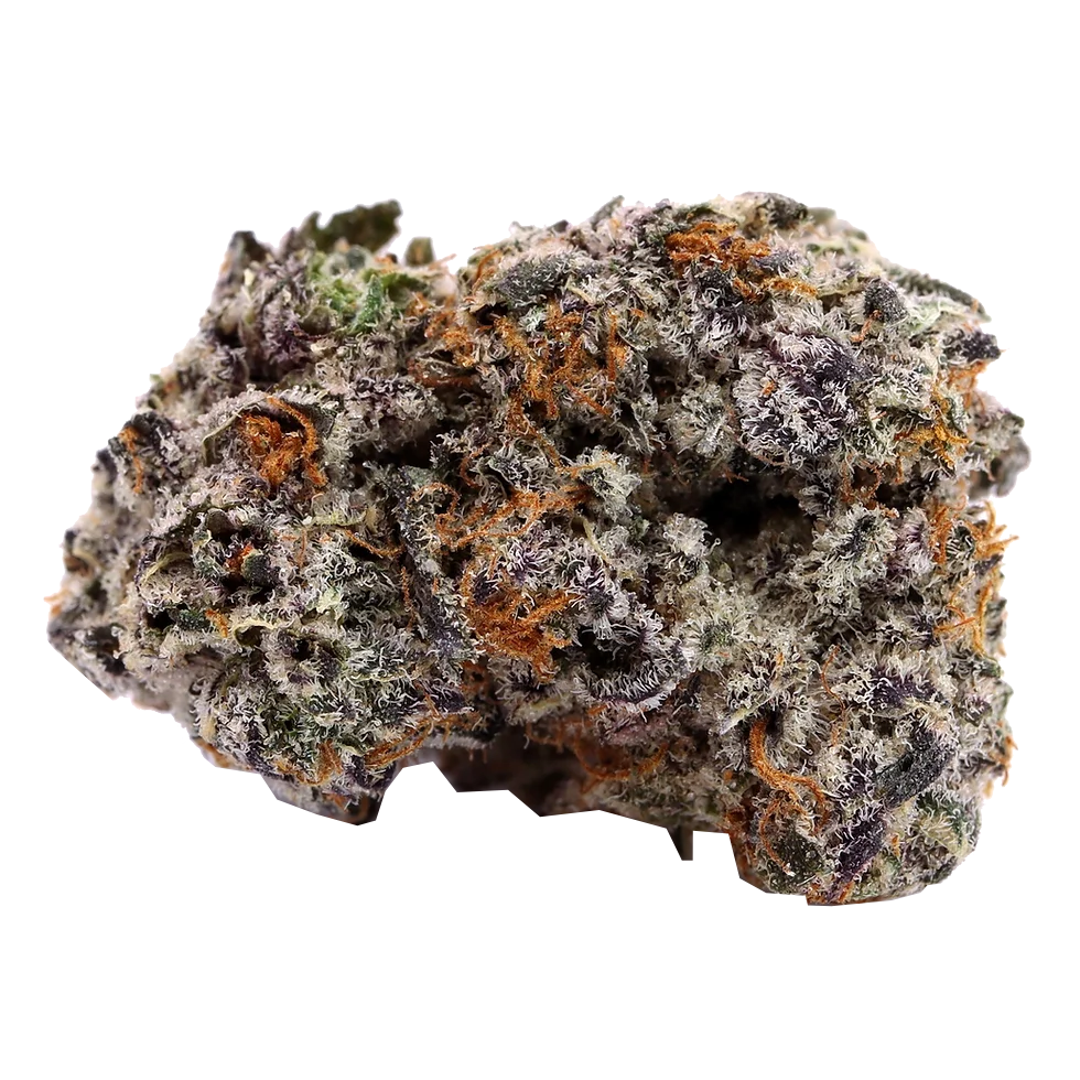 THCa Flower | Black Truffle : INDICA (31.99%)