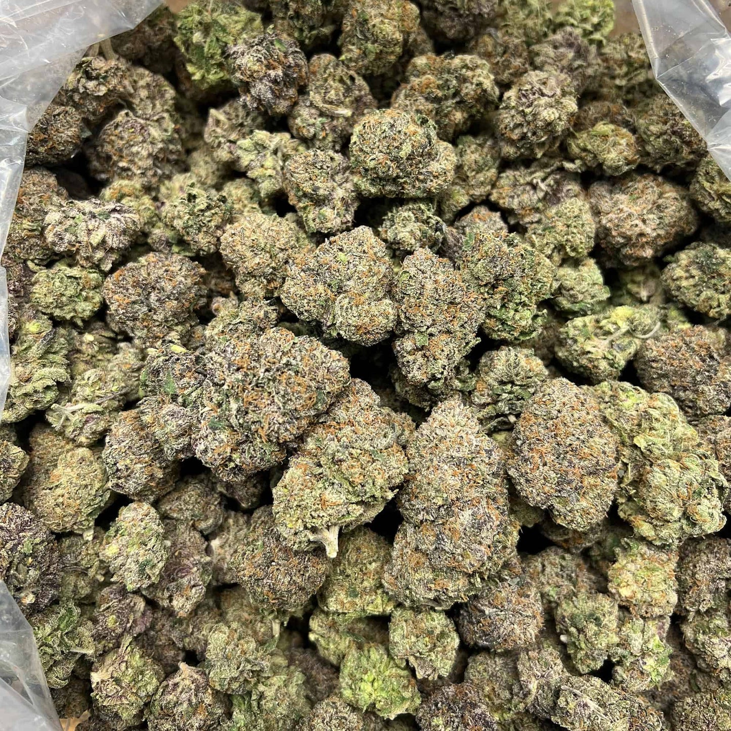 THCa Flower | Churro Gelato : HYBRID (33.06%)