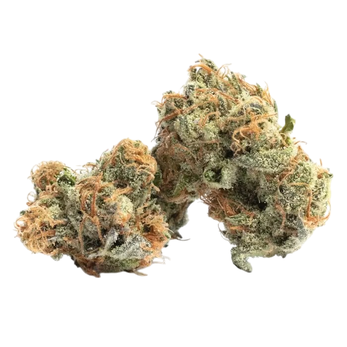 Gelato 41 - Flower : HYBRID (24.87%)