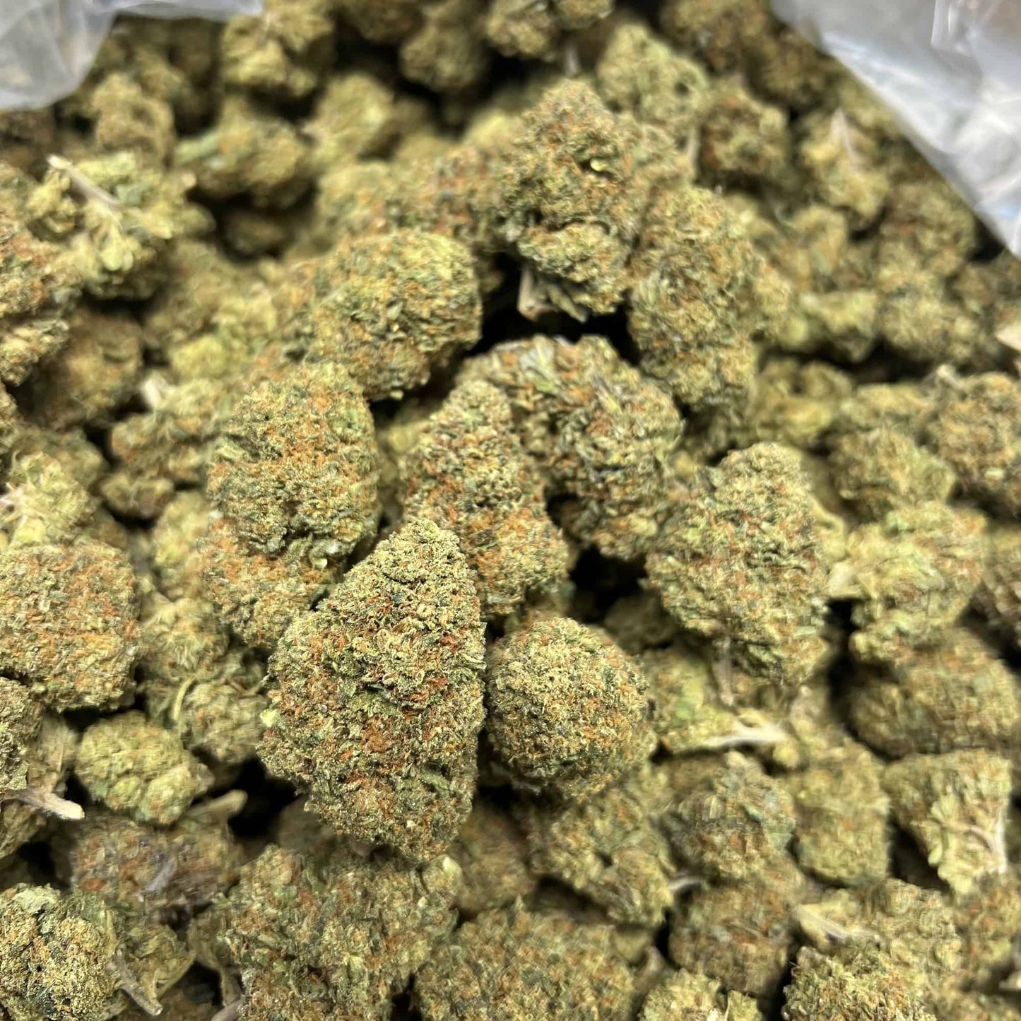 THCa Flower | Lemon Cherry Gelato : HYBRID (28.13%)