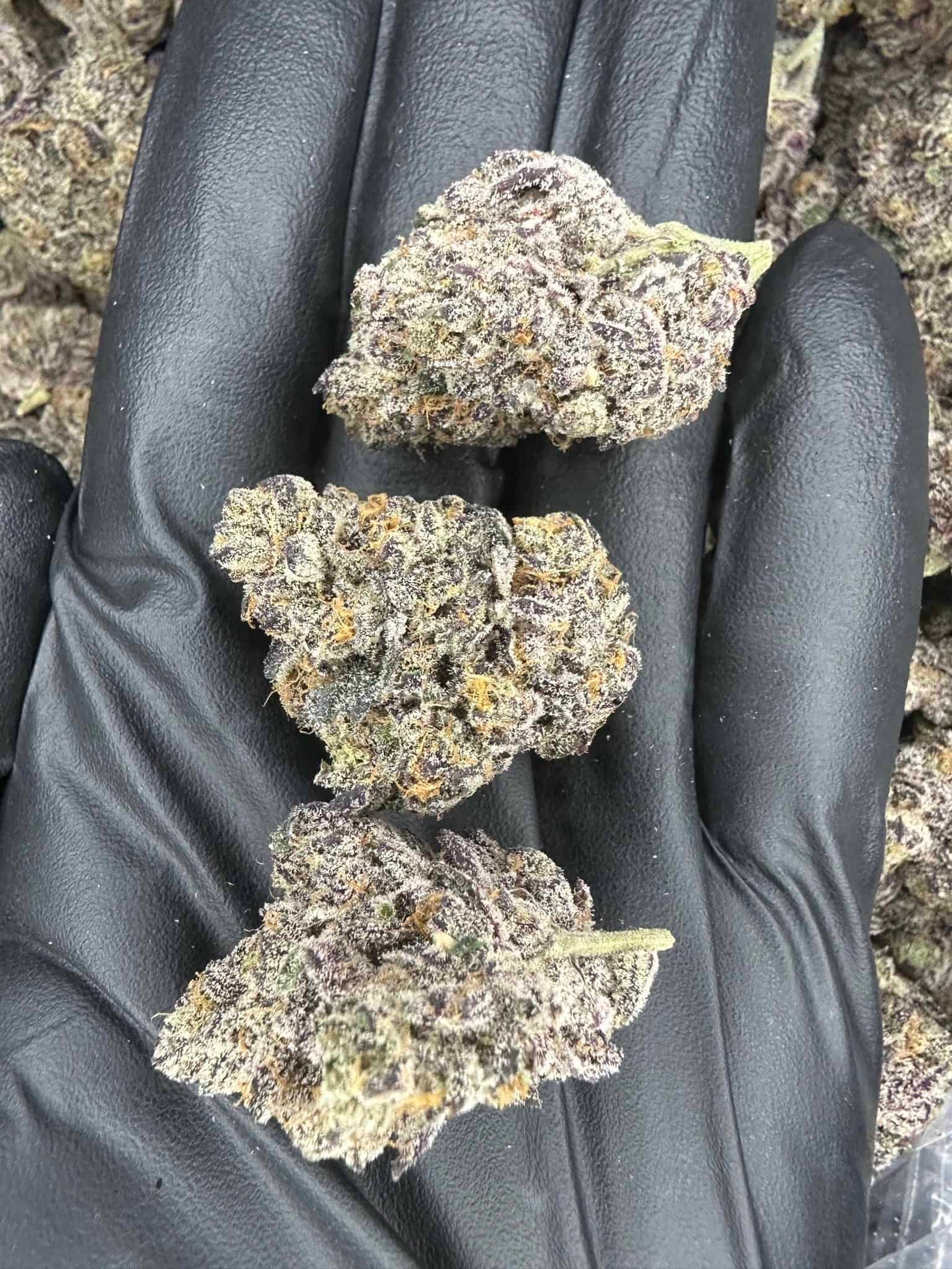 THCa Flower | Mendo Breath : INDICA (37.1%)