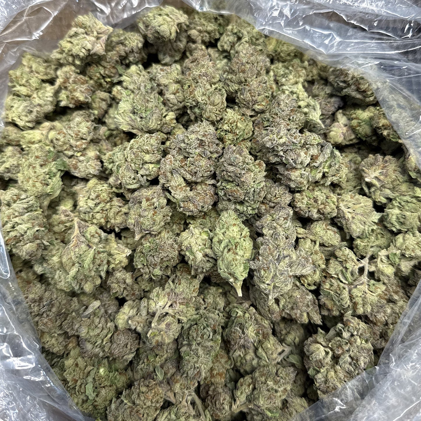 THCa Flower | Mochi : HYBRID (28.13%)