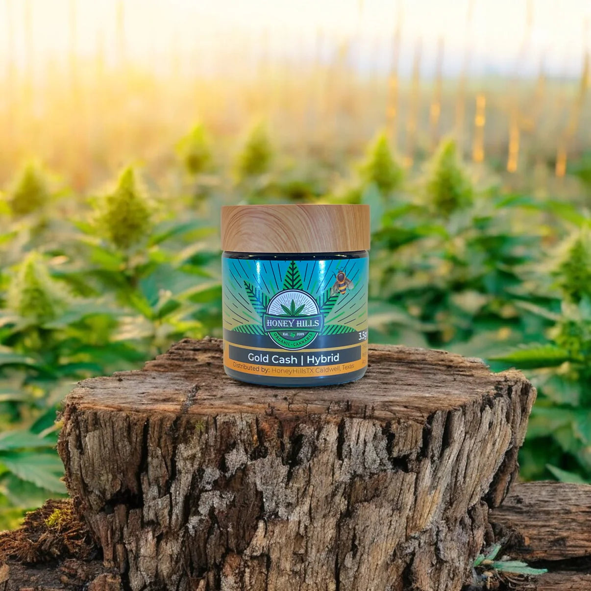 Honey Hills | Gold Cash - THCA flower 3.5g