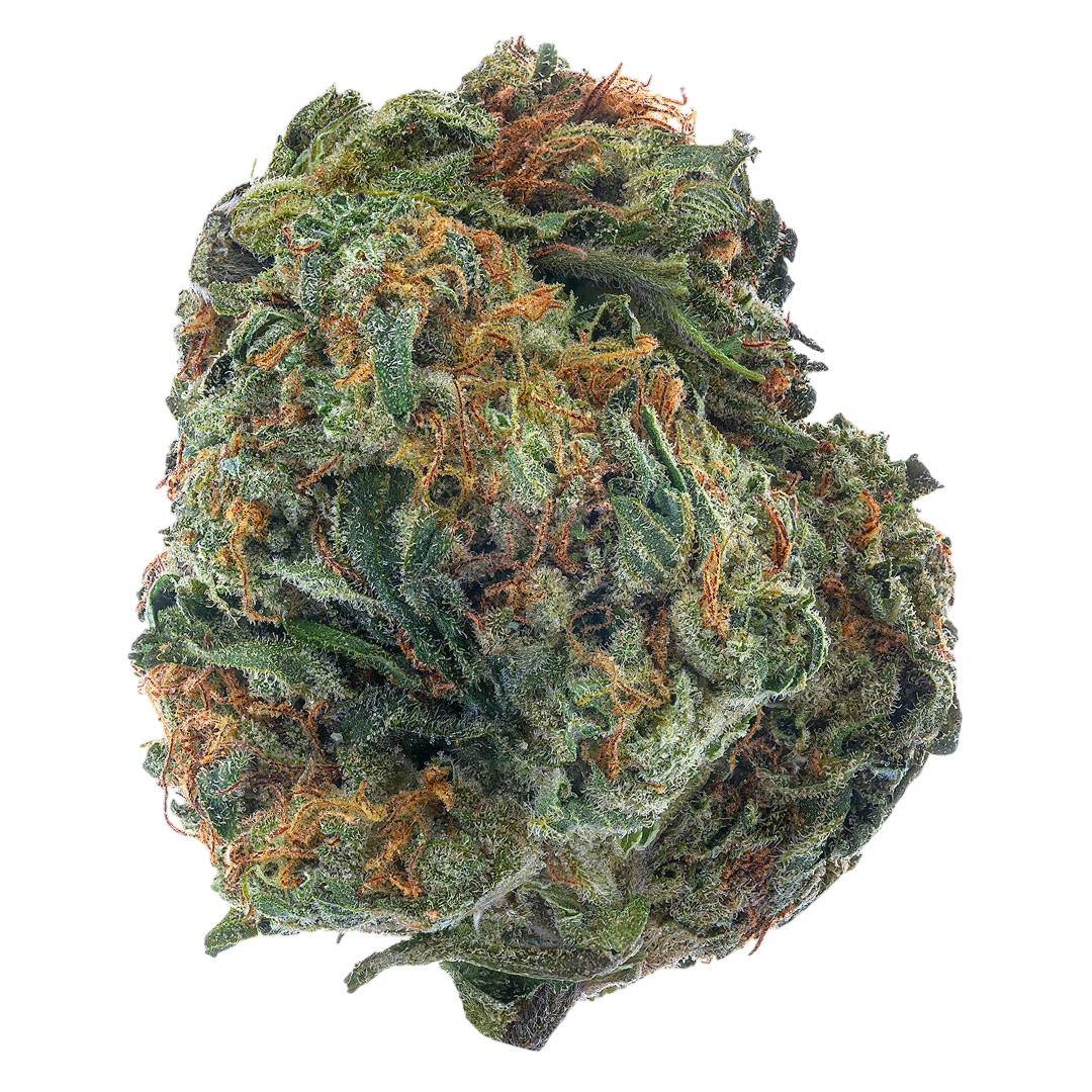 Platinum Berry - Flower : HYBRID (34.13%)