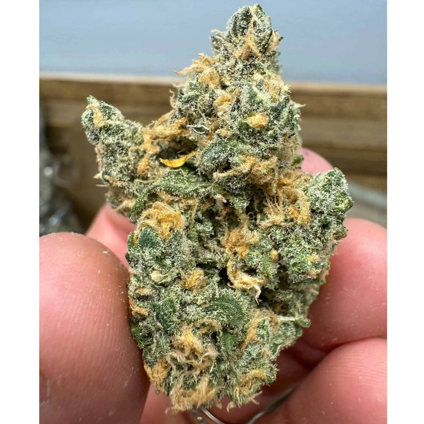 THCa Flower | Blue Dream : SATIVA (32.30%)