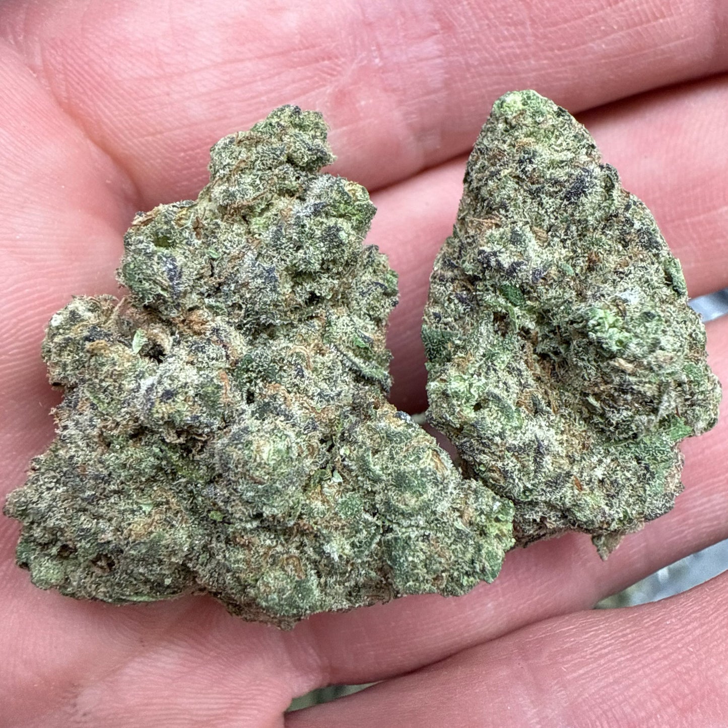 THCa Flower | Bubba Kush : INDICA (32.85%)