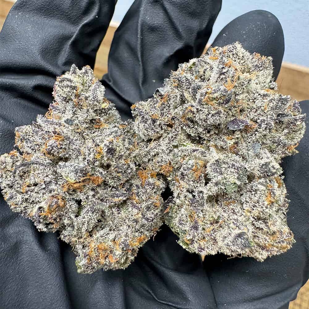 THCa Flower | Dantes Inferno : INDICA (35.97%)