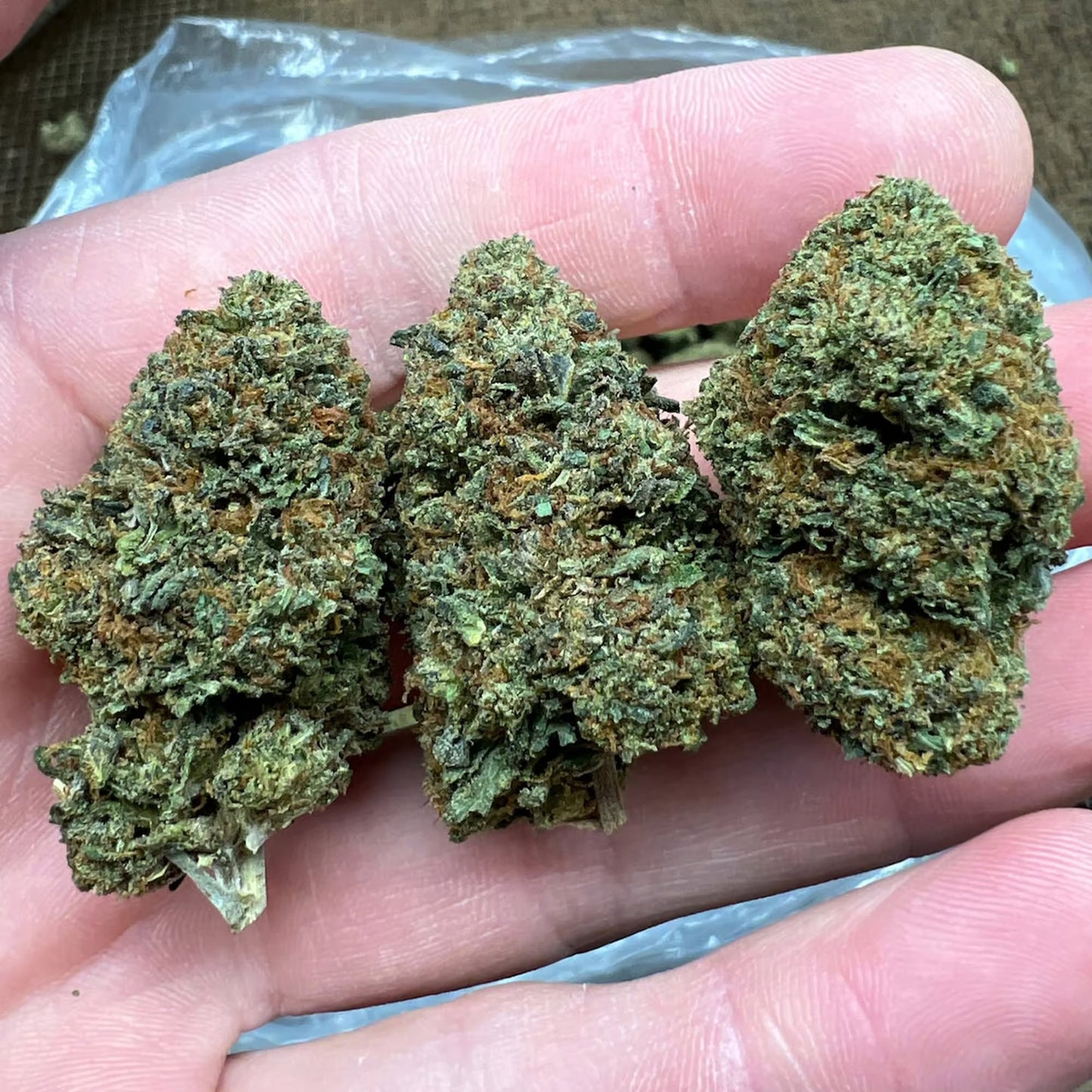 THCa Flower | Lemon Cherry Gelato : HYBRID (28.13%)