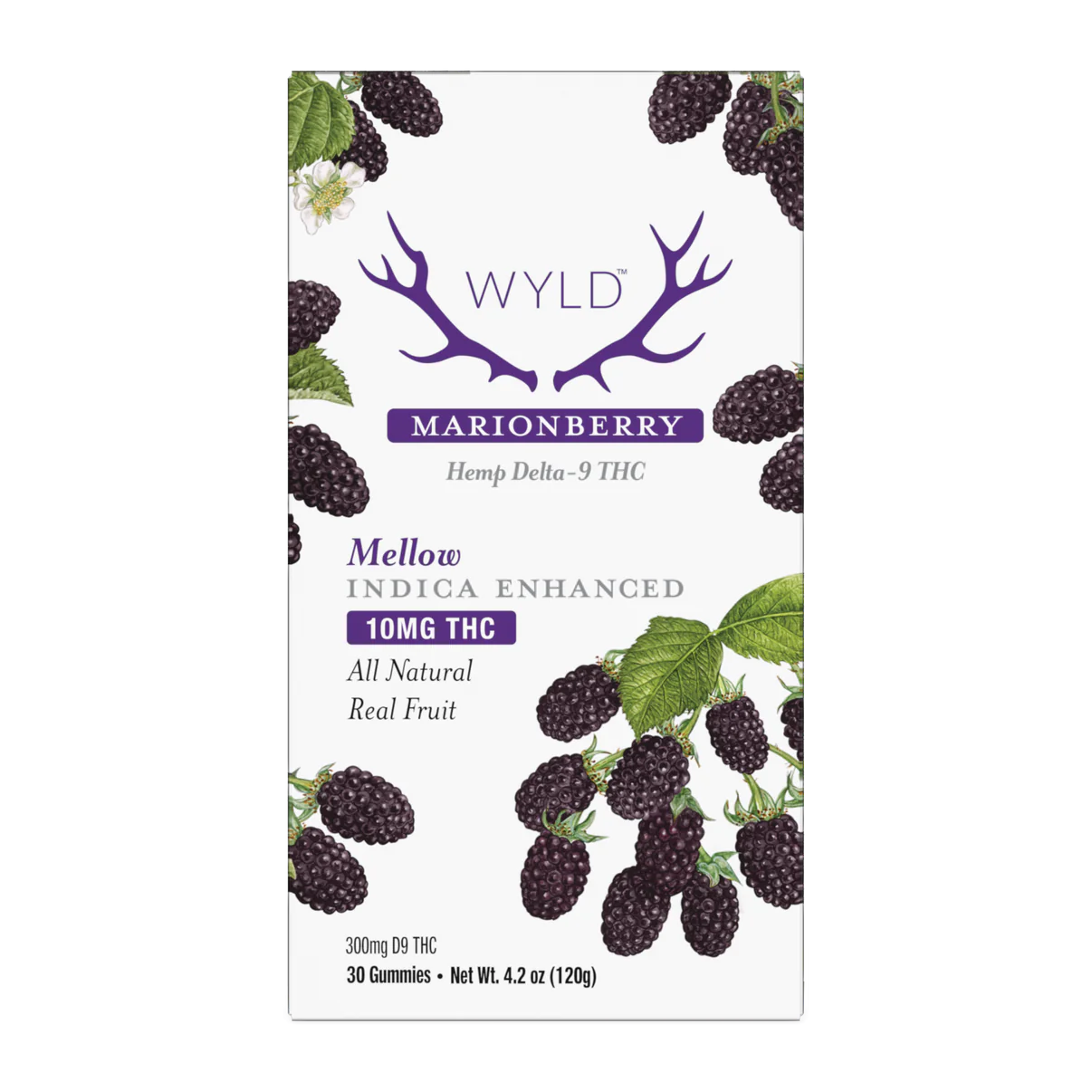 WYLD | Hemp Gummies D9 THC 300mg- 30ct