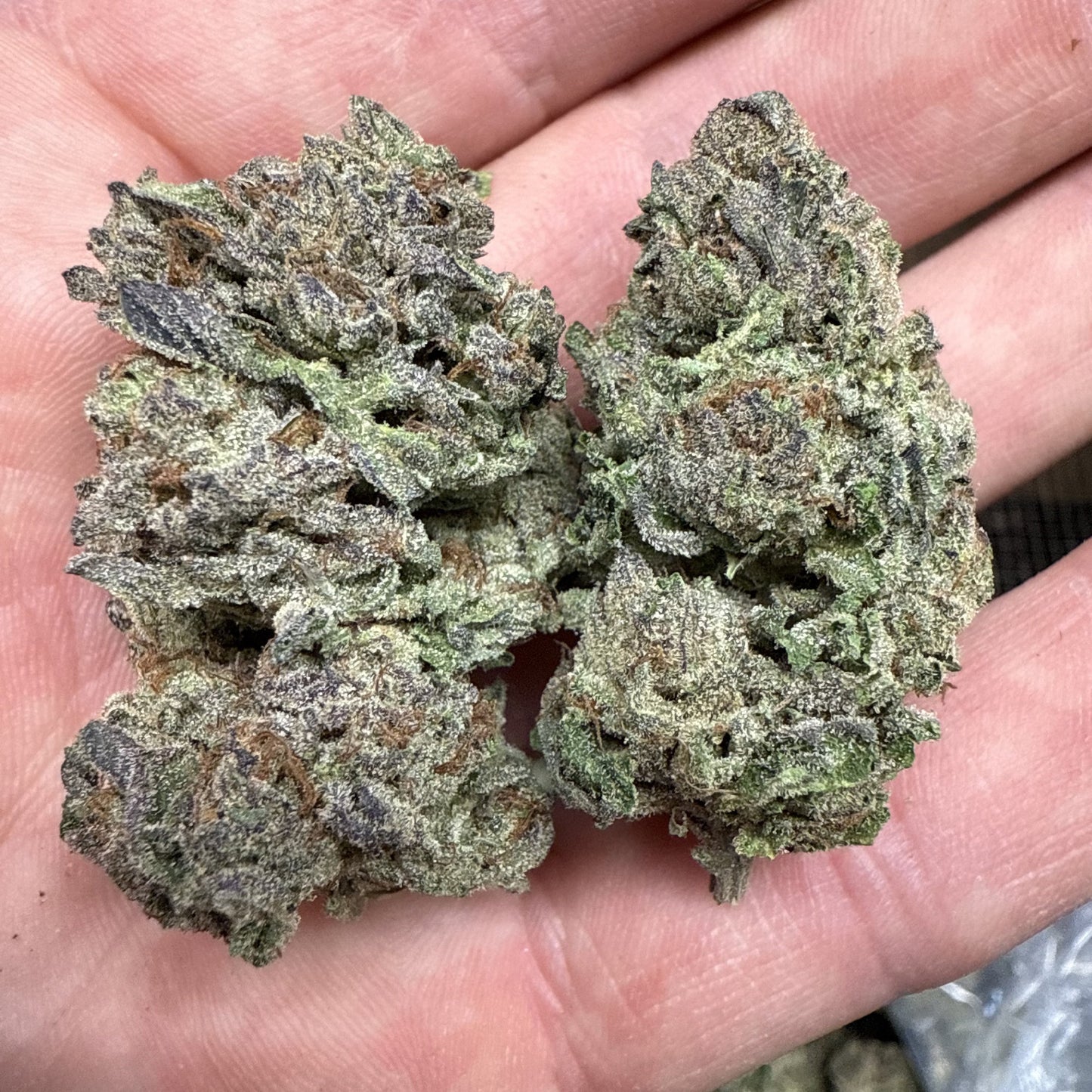 THCa Flower | Mochi : HYBRID (28.13%)