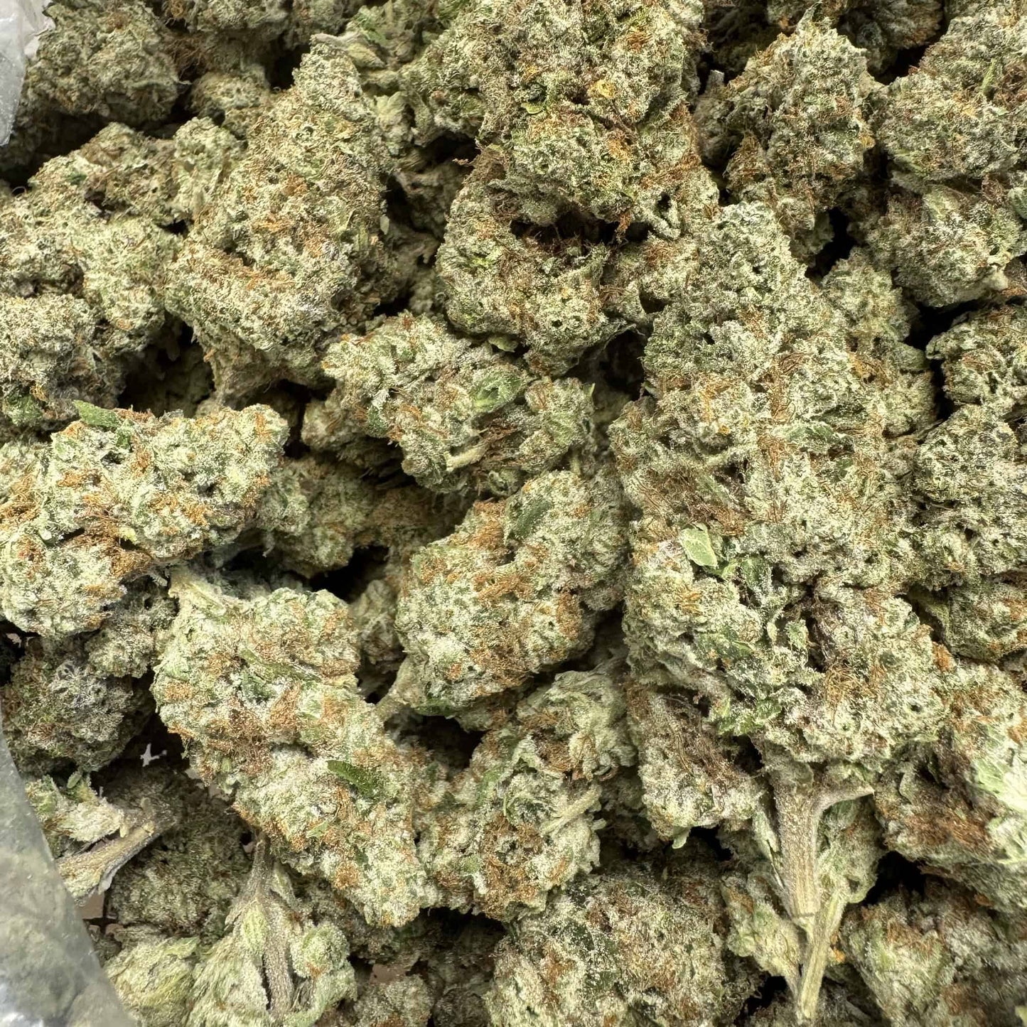 THCa Flower | OG Chem : HYBRID (33.39%)