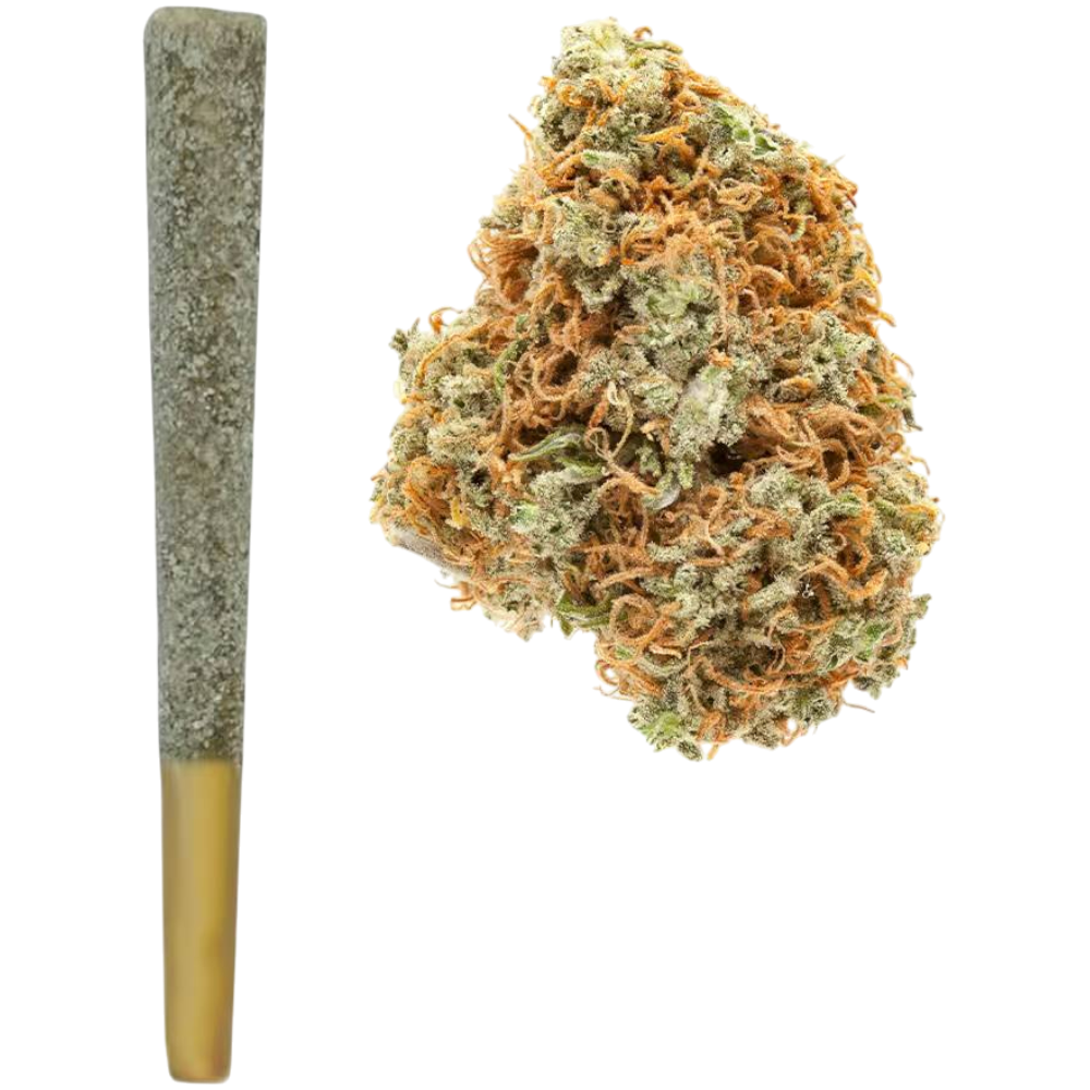 1.5G THCa Diamond Pre Roll | Orange Cookies : SATIVA (38.92%) *PRICE DROP*