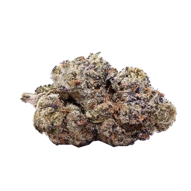 THCa Flower | Oreoz : INDICA (32.46%)