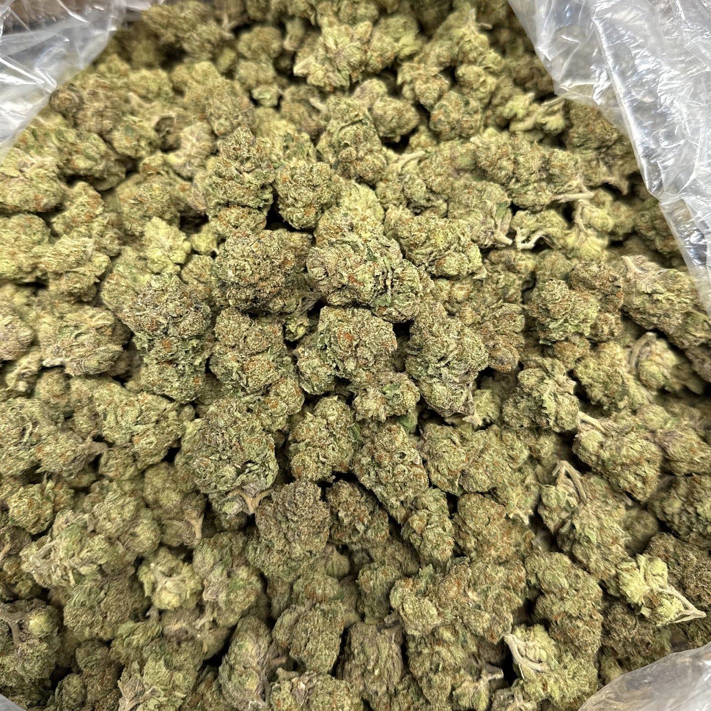 THCa Flower | Papaya Punch : INDICA (29.53%)