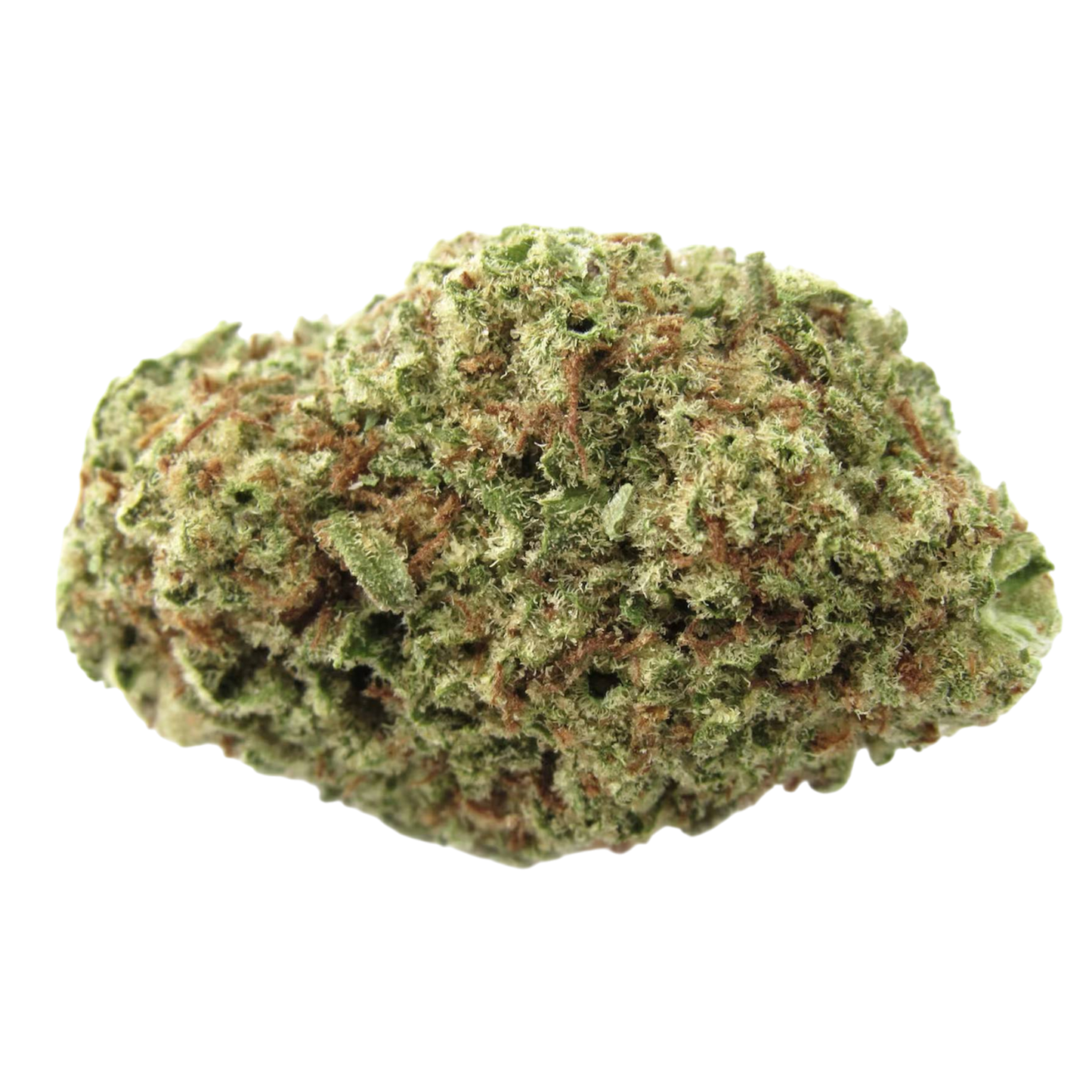 THCa Flower | Papaya Punch : INDICA (29.53%)