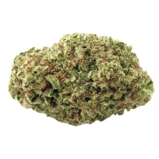 THCa Flower | Papaya Punch : INDICA (29.53%)