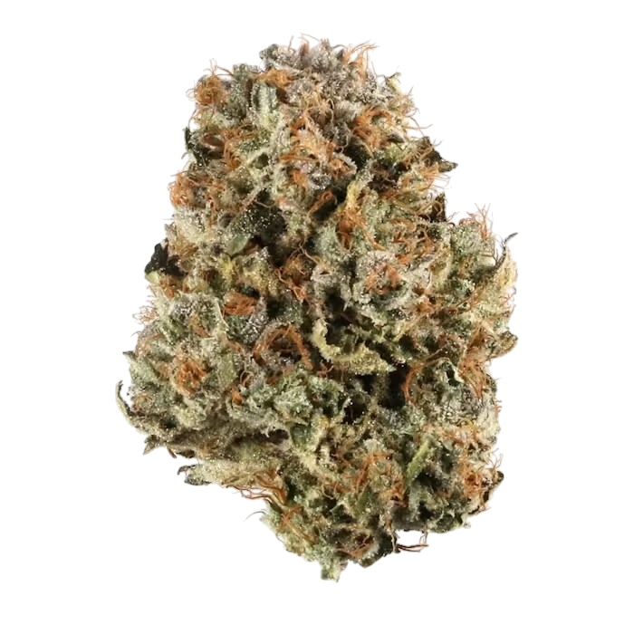 Platinum Bubba - Flower : INDICA (36%%)