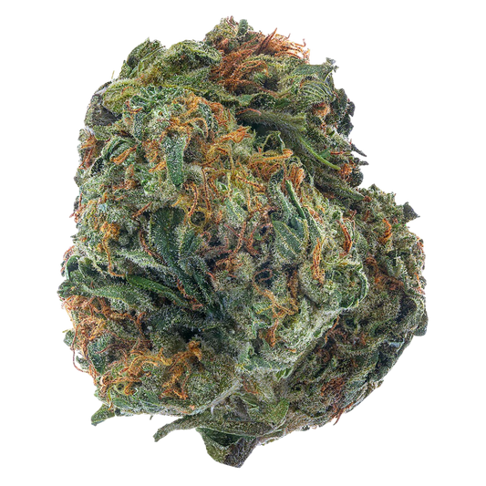 Platinum Berry - Flower : HYBRID (34.13%)