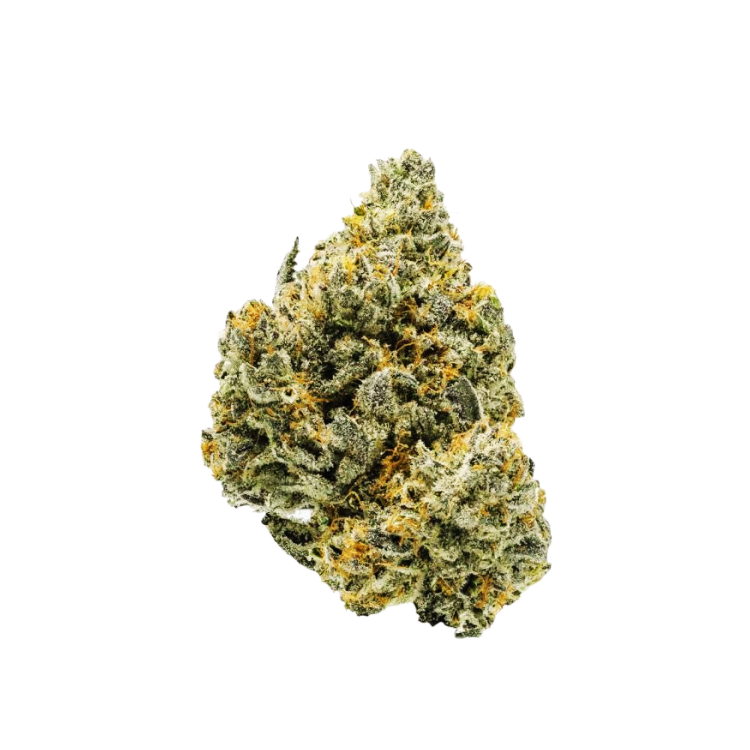 ENJOY | Indoor THCa Flower | Runtz : HYBRID (29.67%)