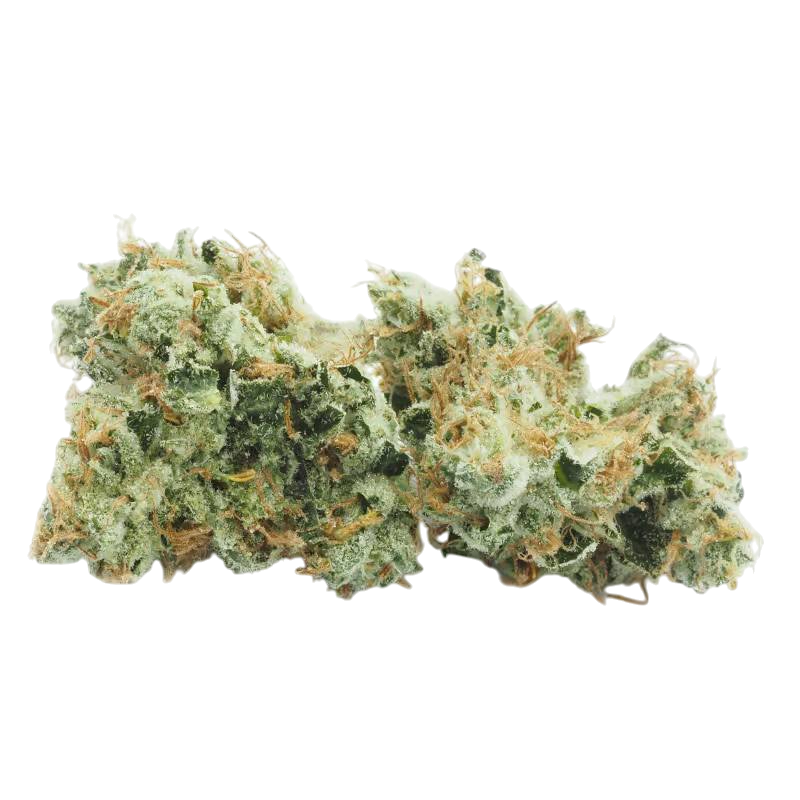 THCa Flower | Sour Diesel : HYBRID (36.91%)