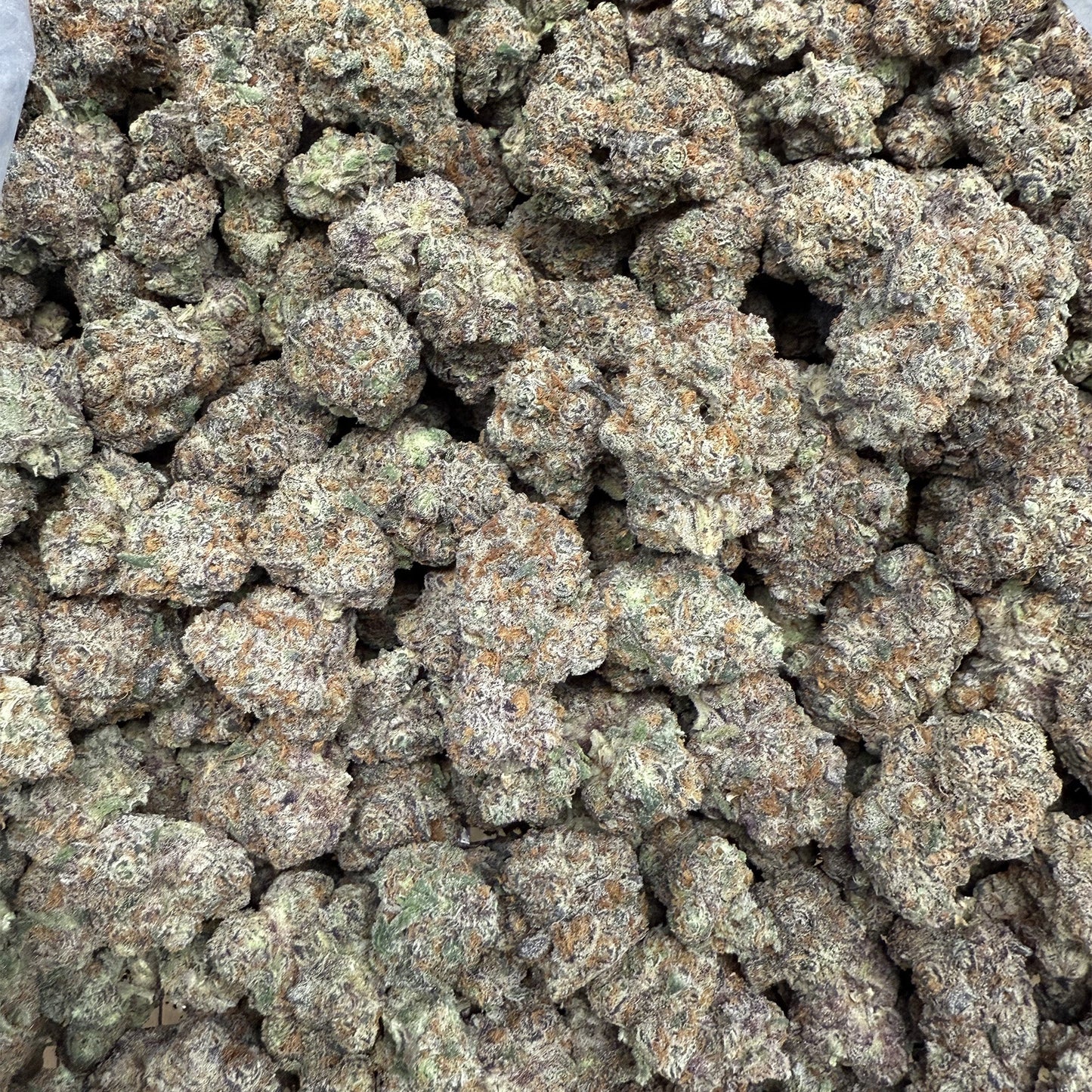 Trop Chem : SATIVA (35.64%)