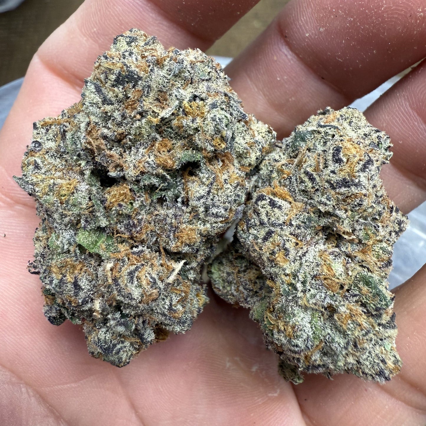 Trop Chem : SATIVA (35.64%)