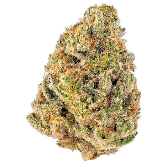 Snowman - Flower : HYBRID (32.3%)